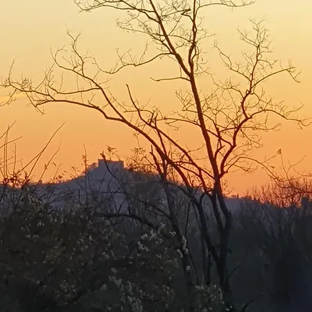 公寓 La Corte Industriale *